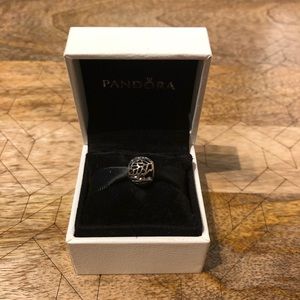 Pandora Charm - Autumn Bliss (Retired)